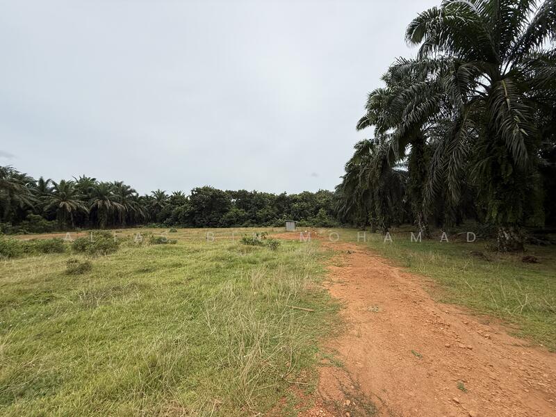 Residential Land for Sale in Hulu Terengganu (Terengganu) - Alias Bin Mohamad - Exterior - PropertyGuru.com.my