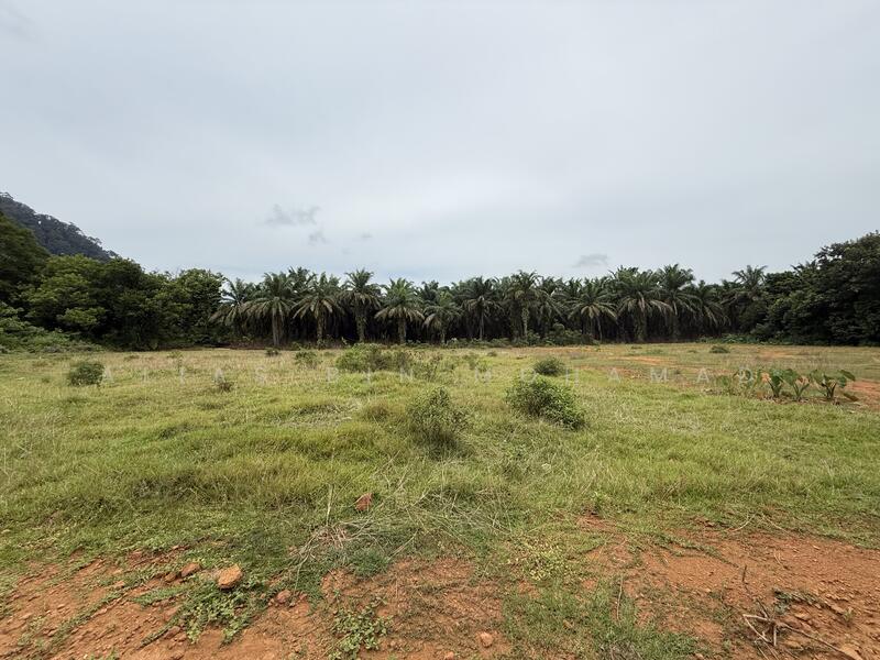Residential Land for Sale in Hulu Terengganu (Terengganu) - Alias Bin Mohamad - Exterior - PropertyGuru.com.my