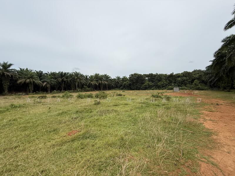 Residential Land for Sale in Hulu Terengganu (Terengganu) - Alias Bin Mohamad - Exterior - PropertyGuru.com.my
