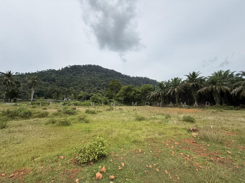 Residential Land for Sale in Hulu Terengganu (Terengganu) - Alias Bin Mohamad - PropertyGuru.com.my