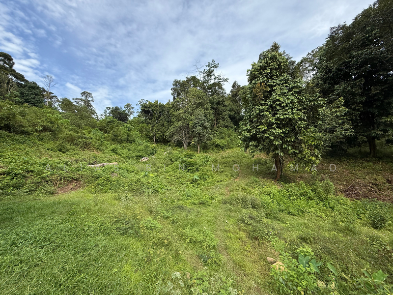 Tanah Kebun bersaiz 4.23 ekar di Kg. Jerung Seberang, Marang, Terengganu untuk Untuk Dijual - RM 370,000, Mac 2026 - Exterior - PropertyGuru.com.my