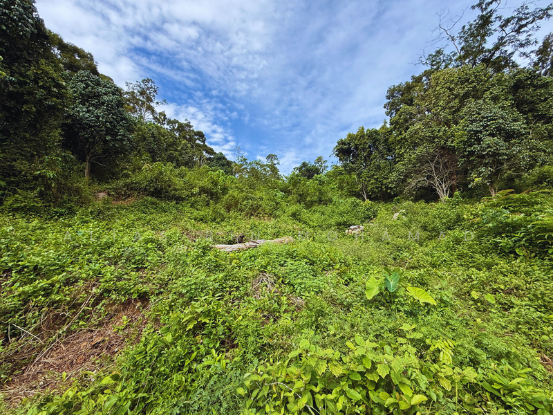 Tanah Kebun bersaiz 4.23 ekar di Kg. Jerung Seberang, Marang, Terengganu untuk Untuk Dijual - RM 370,000, Mac 2026 - Exterior - PropertyGuru.com.my