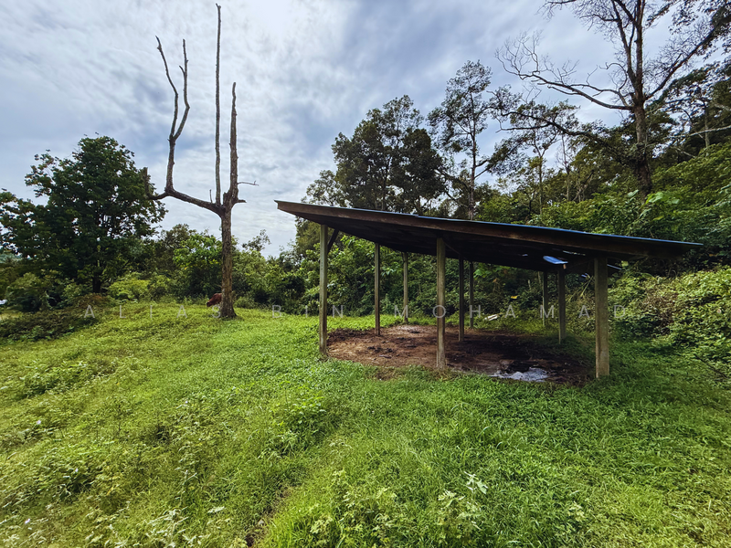 Tanah Kebun bersaiz 4.23 ekar di Kg. Jerung Seberang, Marang, Terengganu untuk Untuk Dijual - RM 370,000, Mac 2026 - Exterior - PropertyGuru.com.my