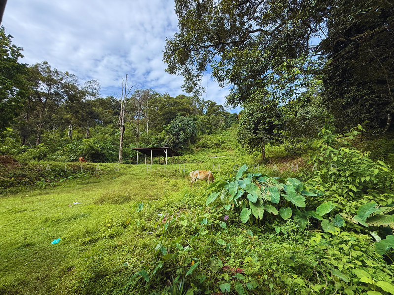 Tanah Kebun bersaiz 4.23 ekar di Kg. Jerung Seberang, Marang, Terengganu untuk Untuk Dijual - RM 370,000, Mac 2026 - Exterior - PropertyGuru.com.my