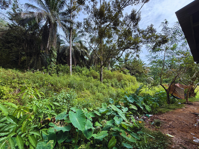 Tanah Kebun bersaiz 4.23 ekar di Kg. Jerung Seberang, Marang, Terengganu untuk Untuk Dijual - RM 370,000, Mac 2026 - Exterior - PropertyGuru.com.my