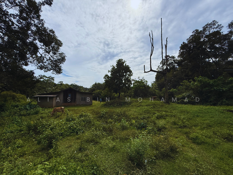 Tanah Kebun bersaiz 4.23 ekar di Kg. Jerung Seberang, Marang, Terengganu untuk Untuk Dijual - RM 370,000, Mac 2026 - Exterior - PropertyGuru.com.my