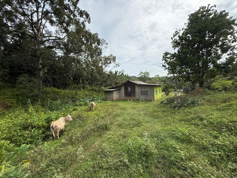 Tanah Kebun bersaiz 4.23 ekar di Kg. Jerung Seberang, Marang, Terengganu untuk Untuk Dijual - RM 370,000, Mac 2026 - Exterior - PropertyGuru.com.my