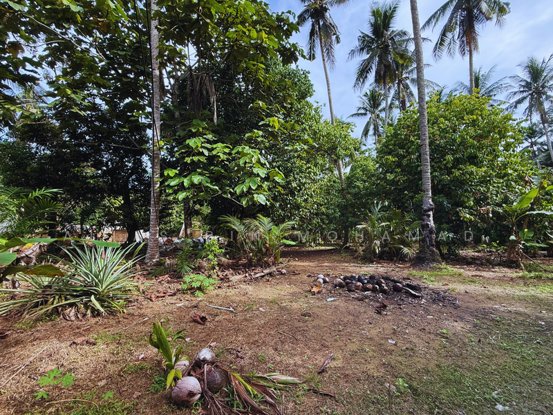 Tanah Kebun bersaiz 1.27 ekar di Kg. Jerung Seberang, Marang, Terengganu untuk Untuk Dijual - RM 170,000, Mac 2026 - Exterior - PropertyGuru.com.my