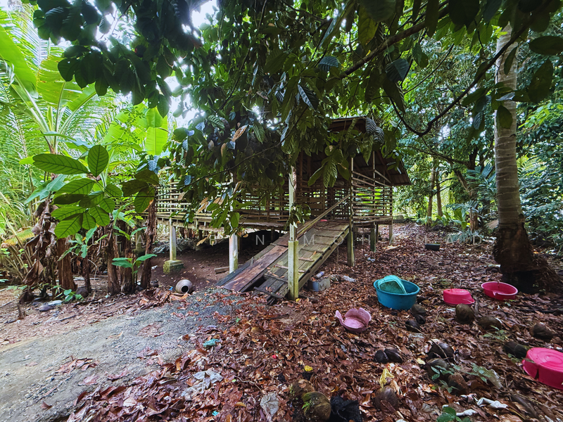 Tanah Kebun bersaiz 1.27 ekar di Kg. Jerung Seberang, Marang, Terengganu untuk Untuk Dijual - RM 170,000, Mac 2026 - Exterior - PropertyGuru.com.my