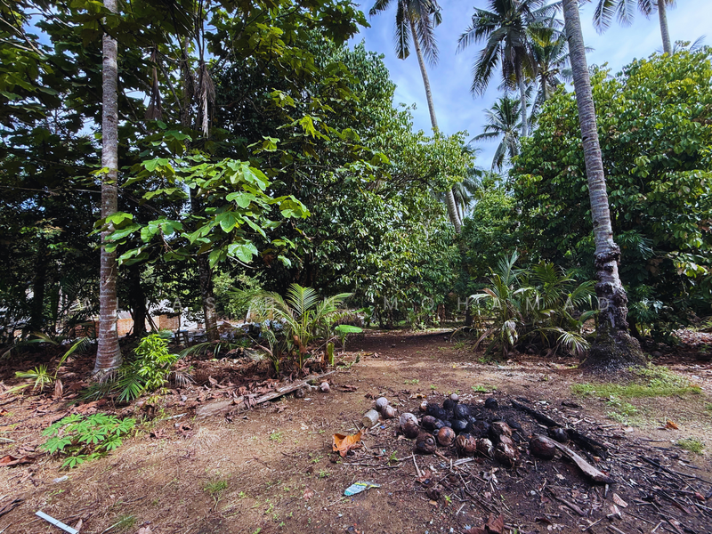 Tanah Kebun bersaiz 1.27 ekar di Kg. Jerung Seberang, Marang, Terengganu untuk Untuk Dijual - RM 170,000, Mac 2026 - Garden - PropertyGuru.com.my