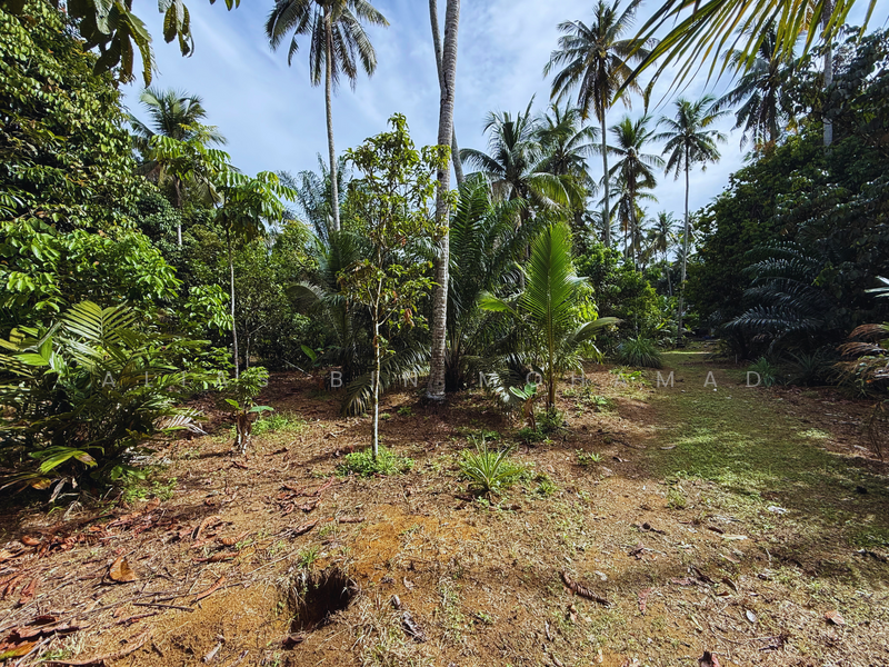 Tanah Kebun bersaiz 1.27 ekar di Kg. Jerung Seberang, Marang, Terengganu untuk Untuk Dijual - RM 170,000, Mac 2026 - Exterior - PropertyGuru.com.my