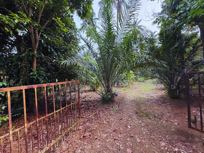 Tanah Kebun bersaiz 1.27 ekar di Kg. Jerung Seberang, Marang, Terengganu untuk Untuk Dijual - RM 170,000, Mac 2026 - Exterior - PropertyGuru.com.my