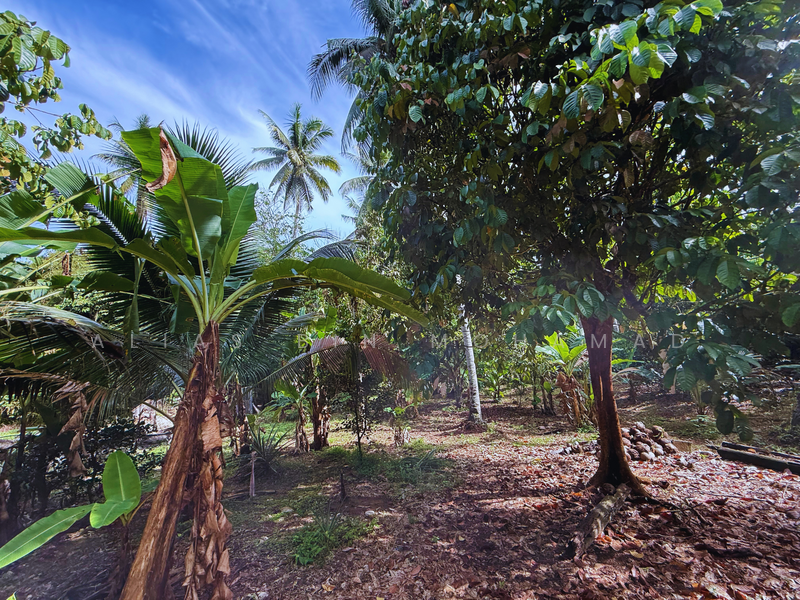 Tanah Kebun bersaiz 1.27 ekar di Kg. Jerung Seberang, Marang, Terengganu untuk Untuk Dijual - RM 170,000, Mac 2026 - Exterior - PropertyGuru.com.my