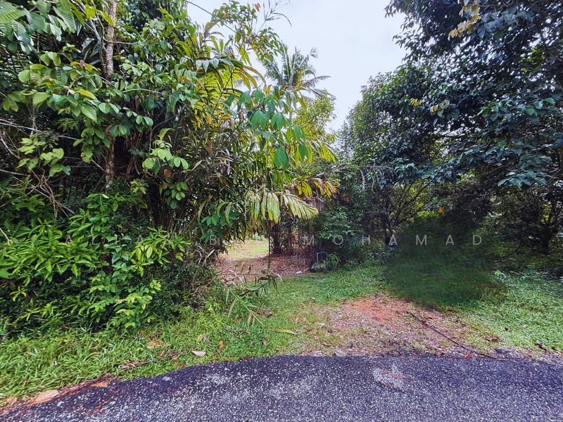 Tanah Kebun bersaiz 1.27 ekar di Kg. Jerung Seberang, Marang, Terengganu untuk Untuk Dijual - RM 170,000, Mac 2026 - Exterior - PropertyGuru.com.my