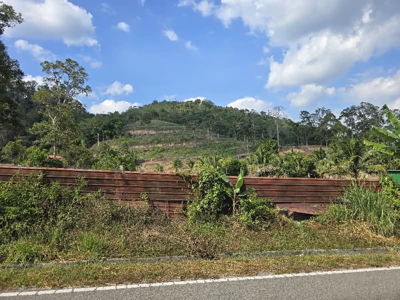 Agricultural Land for Sale in Kuala Klawang (Negeri Sembilan) - Louis Lim - Exterior - PropertyGuru.com.my