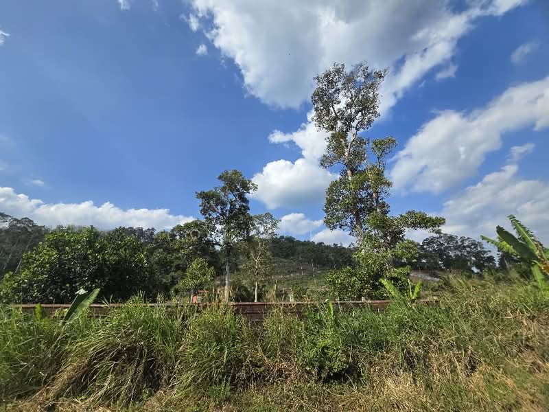 Agricultural Land for Sale in Kuala Klawang (Negeri Sembilan) - Louis Lim - Exterior - PropertyGuru.com.my