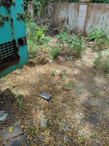 Semi-D Factory for Rent in Bandar Seri Alam (Masai) - Guan . - Exterior - PropertyGuru.com.my