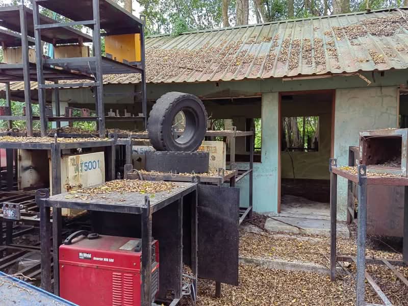 Semi-D Factory for Rent in Bandar Seri Alam (Masai) - Guan . - Exterior - PropertyGuru.com.my