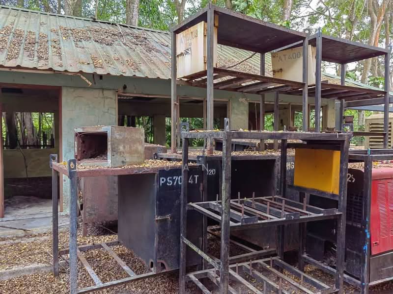 Semi-D Factory for Rent in Bandar Seri Alam (Masai) - Guan . - Exterior - PropertyGuru.com.my