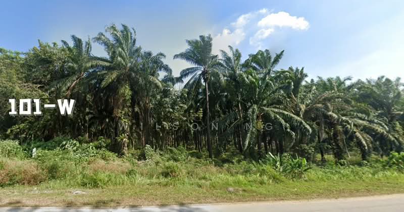 Industrial Land for Sale in Dengkil (Selangor) - Wilson Ng - PropertyGuru.com.my