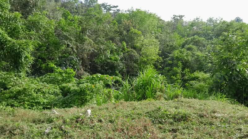 Hill Park untuk Untuk Dijual - RM 43,000,000, Apr 2026 - Exterior - PropertyGuru.com.my