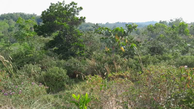 Hill Park untuk Untuk Dijual - RM 43,000,000, Apr 2026 - Exterior - PropertyGuru.com.my