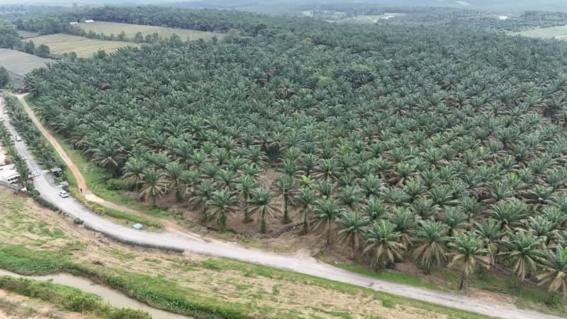Agricultural Land for Sale in Kulai (Johor) - Jessie Tan - Exterior - PropertyGuru.com.my