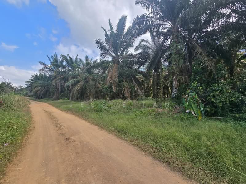 Agricultural Land for Sale in Kulai (Johor) - Jessie Tan - Exterior - PropertyGuru.com.my