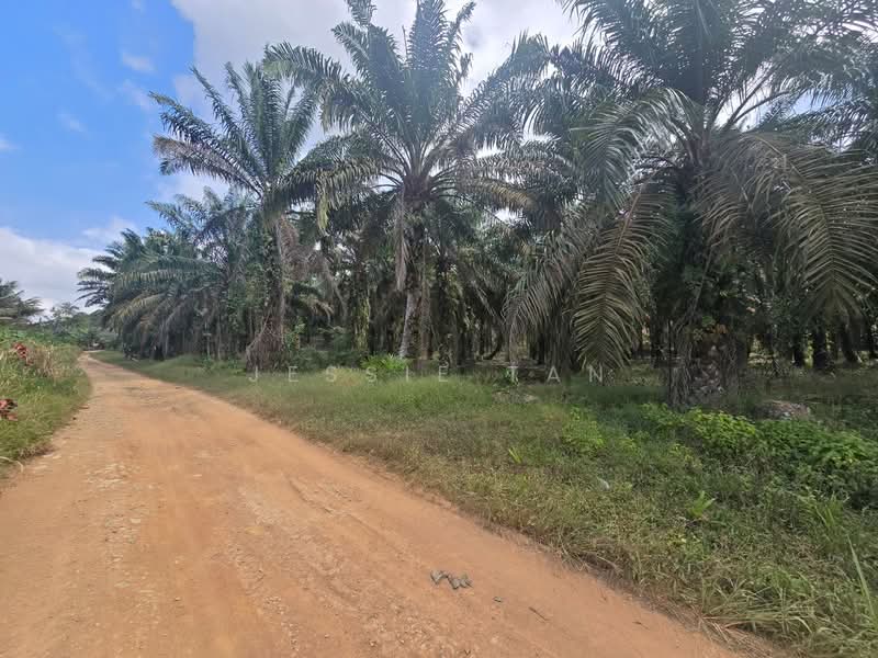 Agricultural Land for Sale in Kulai (Johor) - Jessie Tan - Exterior - PropertyGuru.com.my