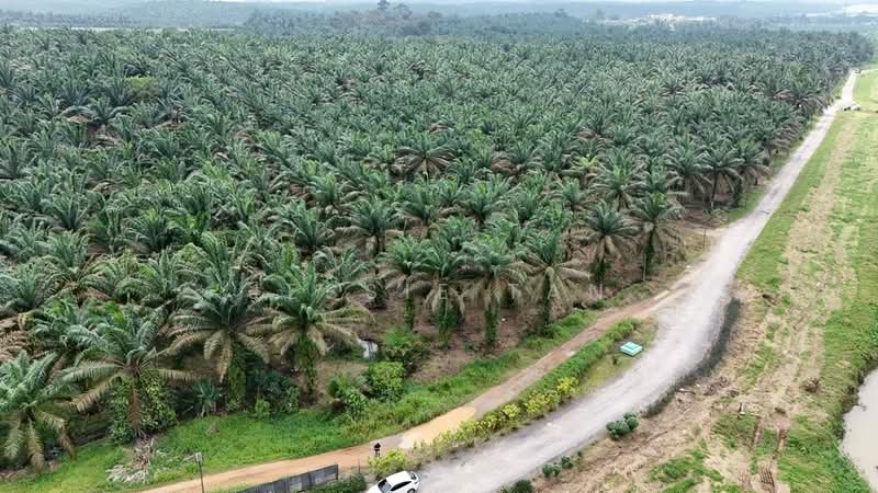 Shop / Office for Sale in Kempas (Johor Bahru) - Jessie Tan - Exterior - PropertyGuru.com.my