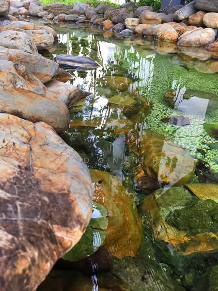 Service Residence for Rent at Saville @ Melawati - Brandon Chin - PropertyGuru.com.my