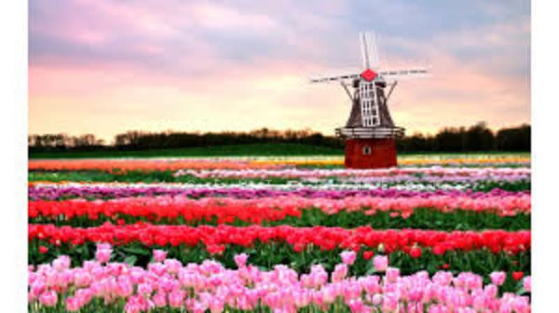 D'Ivo untuk Untuk Disewa - RM 2,000 /bulan, Mac 2026 - PropertyGuru.com.my