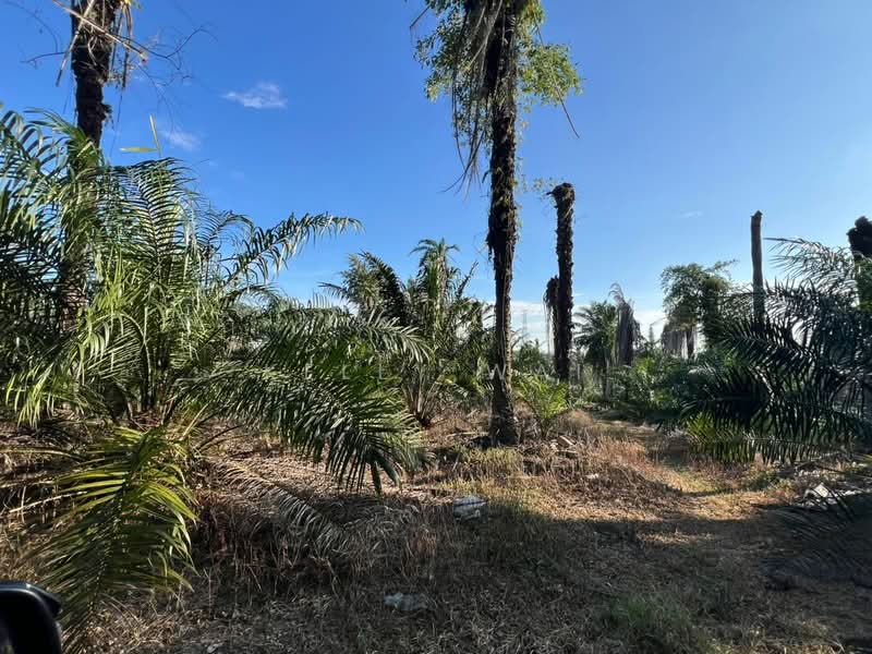 Agricultural Land for Sale in Kampung Tanjung Kupang (Gelang Patah) - Kelly Wai - Exterior - PropertyGuru.com.my