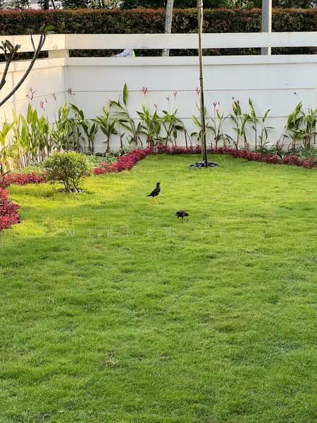 Terraced House for Rent in Iskandar Puteri (Nusajaya) (Johor) - Werner Kee - PropertyGuru.com.my