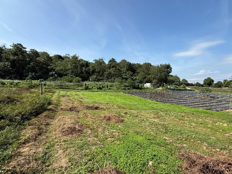 Nilai untuk Untuk Dijual - RM 13,600,000, Feb 2026 - Garden - PropertyGuru.com.my