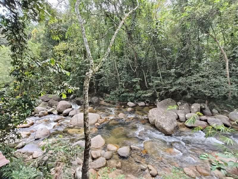 Agricultural Land for Sale in Bentong (Pahang) - Joyce Kok - Exterior - PropertyGuru.com.my