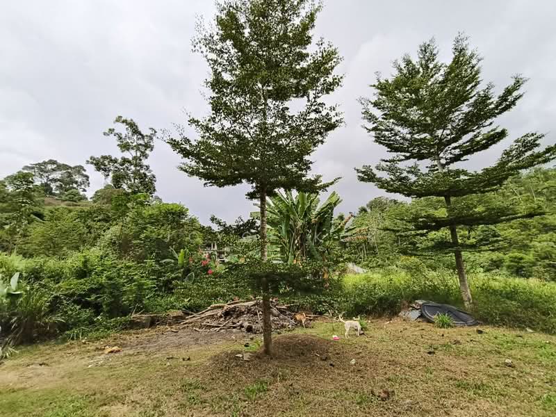 Agricultural Land for Sale in Bentong (Pahang) - Joyce Kok - Exterior - PropertyGuru.com.my