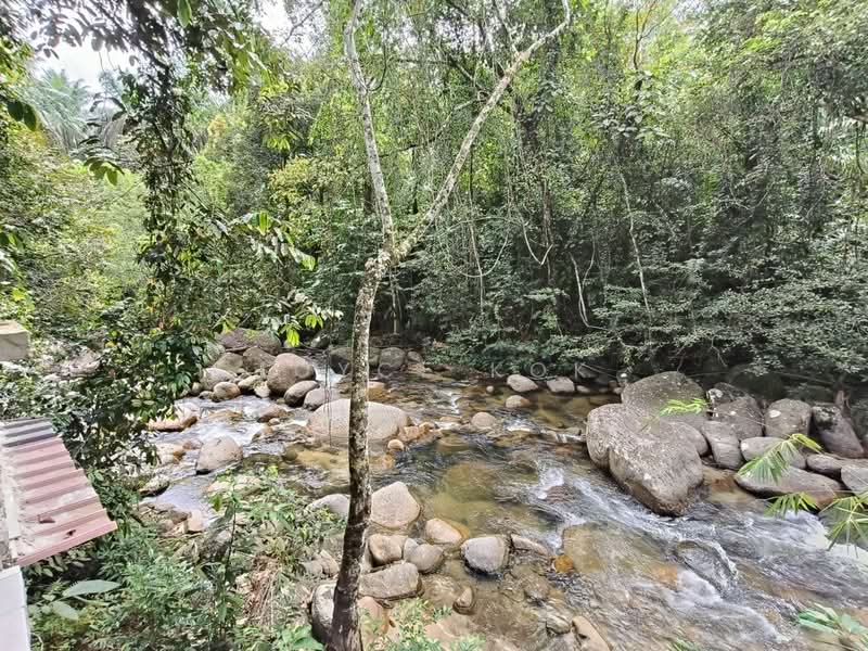 Agricultural Land for Sale in Bentong (Pahang) - Joyce Kok - Exterior - PropertyGuru.com.my