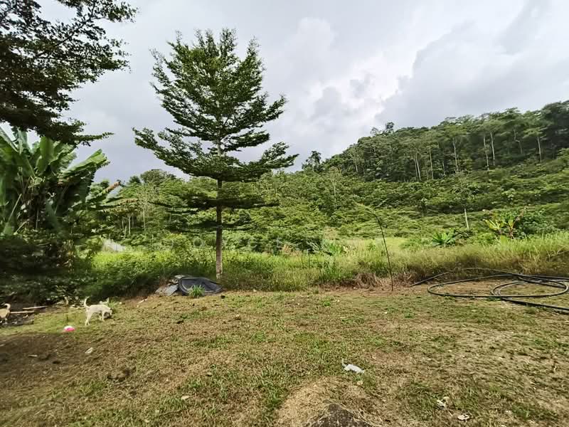 Agricultural Land for Sale in Bentong (Pahang) - Joyce Kok - Exterior - PropertyGuru.com.my