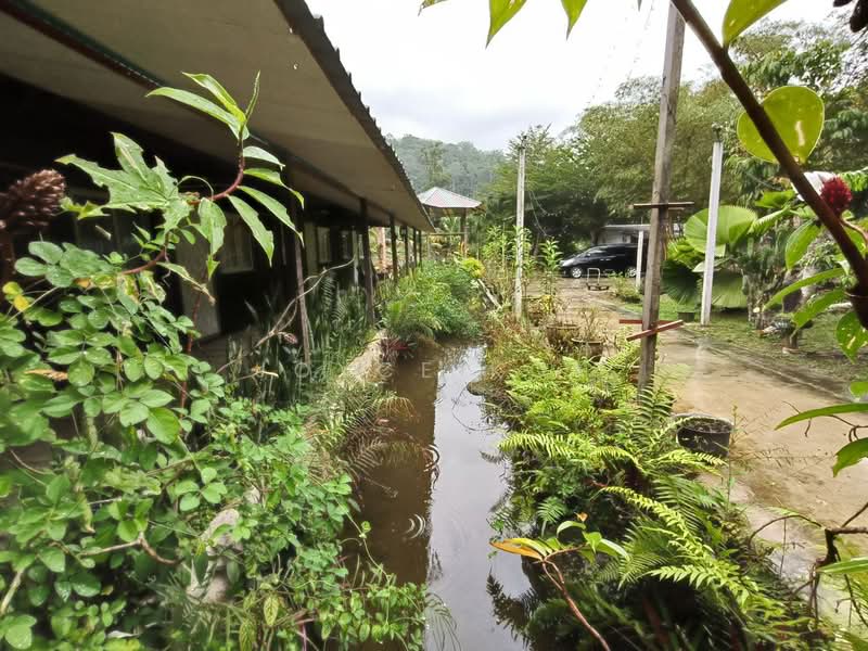 Agricultural Land for Sale in Bentong (Pahang) - Joyce Kok - PropertyGuru.com.my