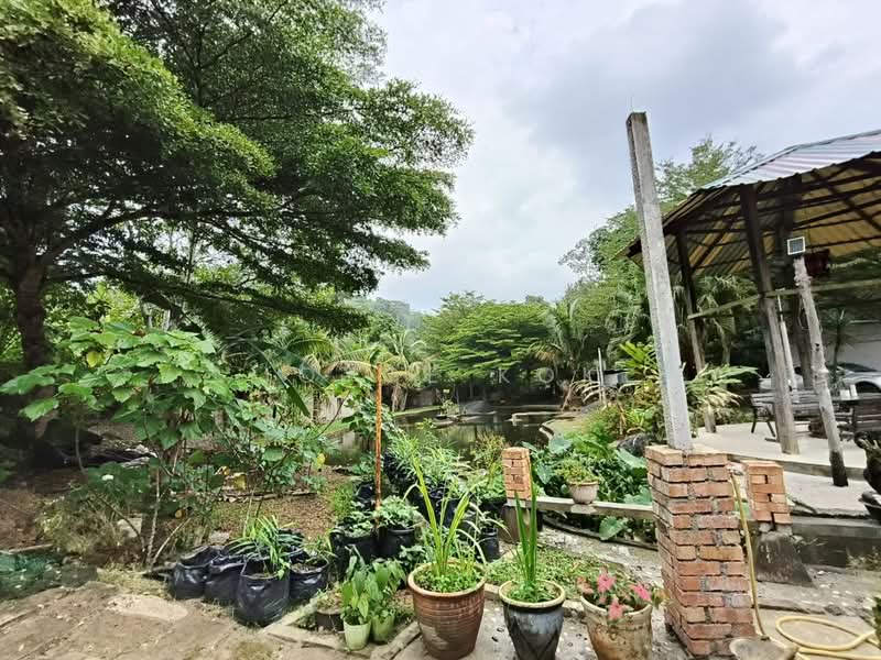 Agricultural Land for Sale in Bentong (Pahang) - Joyce Kok - PropertyGuru.com.my
