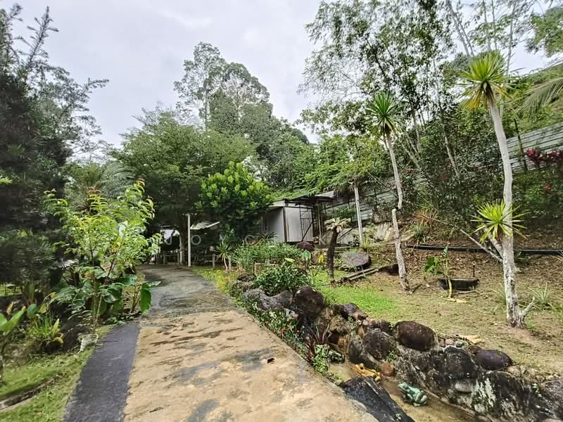 Agricultural Land for Sale in Bentong (Pahang) - Joyce Kok - PropertyGuru.com.my