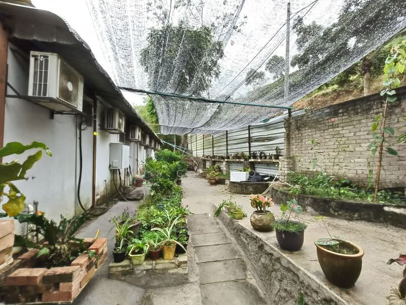 Agricultural Land for Sale in Bentong (Pahang) - Joyce Kok - Exterior - PropertyGuru.com.my