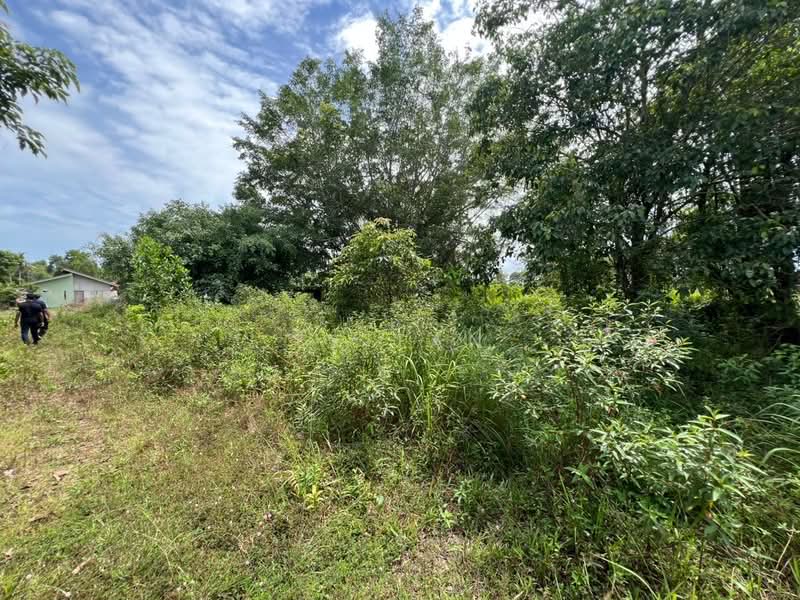 Kampung sungai padang batu untuk Untuk Dijual - RM 248,000, Apr 2026 - Exterior - PropertyGuru.com.my