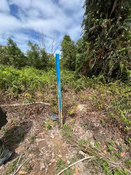 Kampung sungai padang batu untuk Untuk Dijual - RM 248,000, Apr 2026 - Exterior - PropertyGuru.com.my