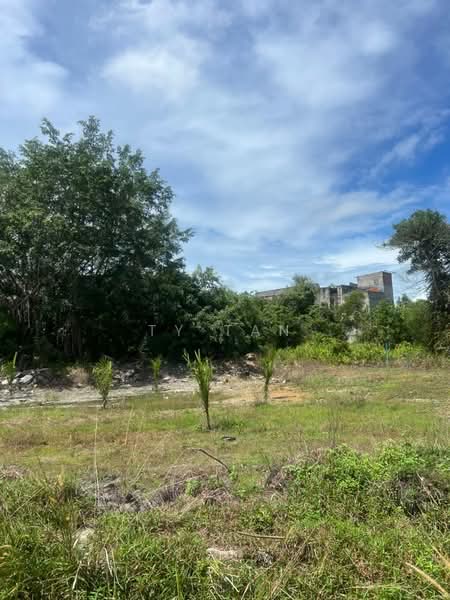 Agricultural Land for Sale in Mersing (Johor) - Ty Tan - Exterior - PropertyGuru.com.my