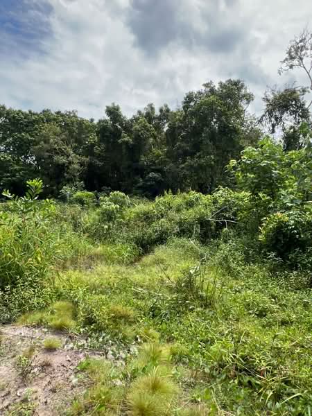 Agricultural Land for Sale in Mersing (Johor) - Ty Tan - Garden - PropertyGuru.com.my