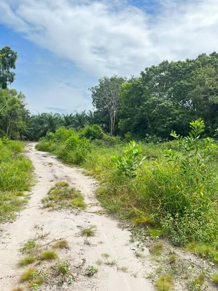 Agricultural Land for Sale in Mersing (Johor) - Ty Tan - Exterior - PropertyGuru.com.my