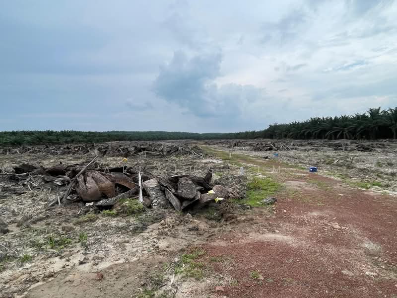 Agricultural Land for Sale in Paloh (Johor) - Alexius Lim - PropertyGuru.com.my