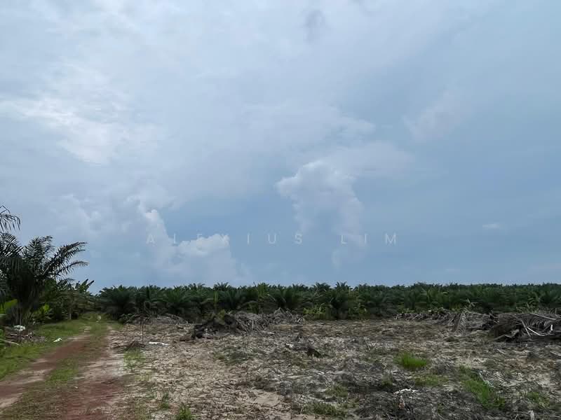 Agricultural Land for Sale in Paloh (Johor) - Alexius Lim - PropertyGuru.com.my